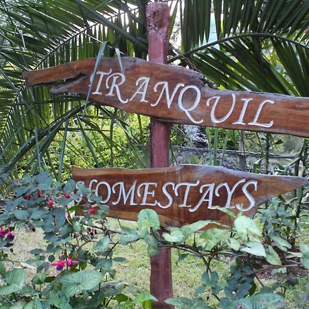 Tranquil Homestays Naro Moru Bagian luar foto